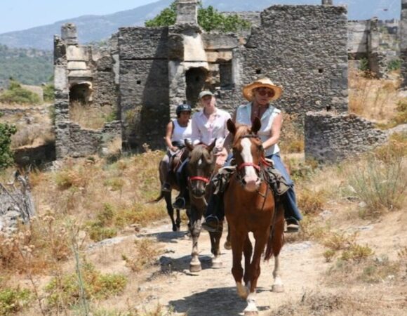 Horse Safari