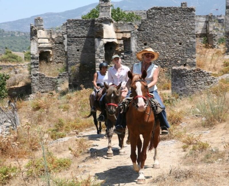 Horse Safari